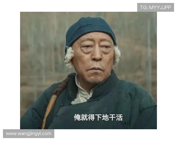 电视剧电视剧：不止是娱乐，更是生活的万花筒